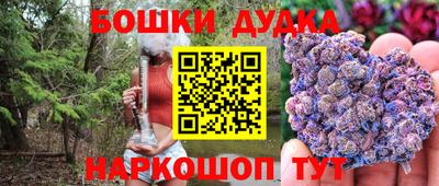 индика Шебекино