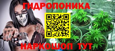 индика Шебекино