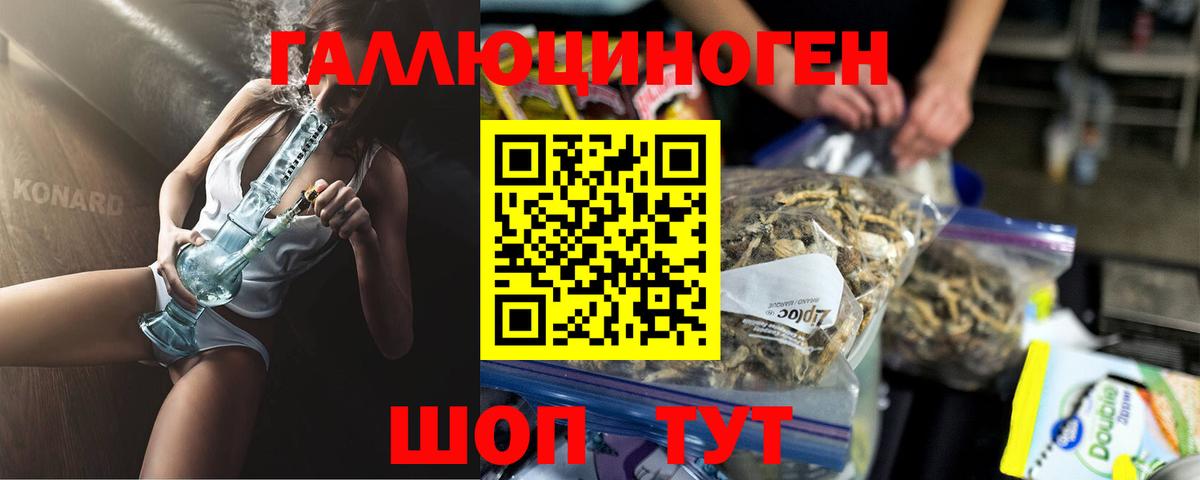 Псилоцибиновые грибы Psilocybine cubensis Ачинск