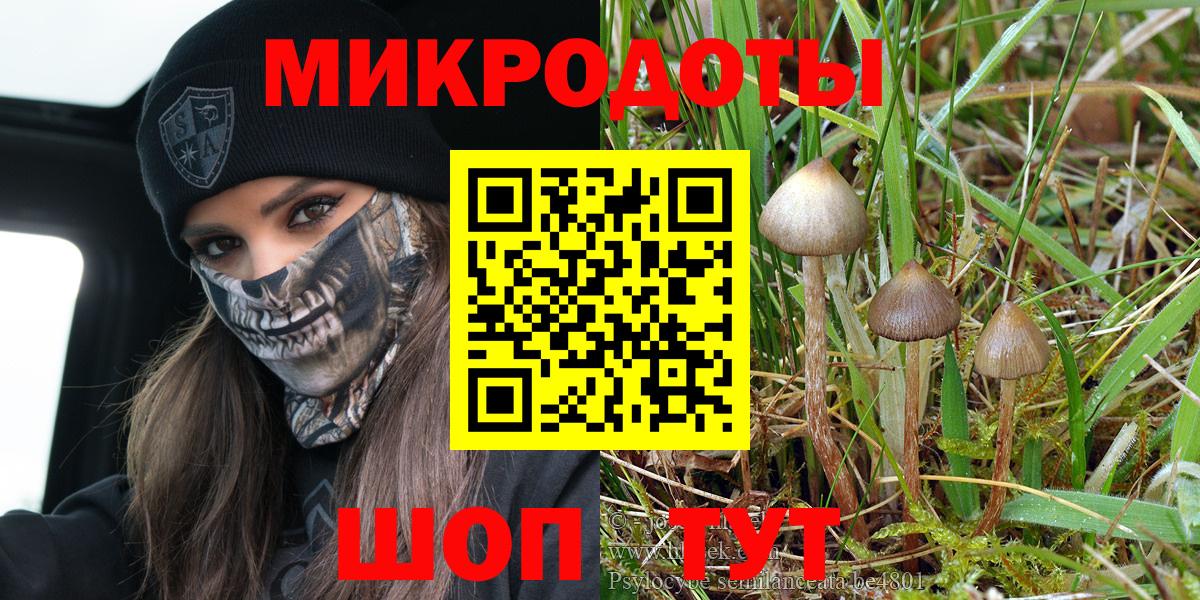 Ачинск  Псилоцибиновые грибы Magic Shrooms  Галлюциногенные грибы MAGIC MUSHROOMS  Вход с VPN 